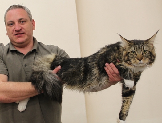 Zidan mit 10 Monaten / ten months old