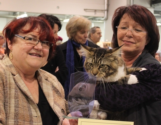 Zidan mit 10 Monaten / ten months old