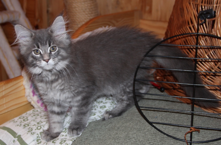 Hannah mit 2,5 Monaten  / 2.5 months old