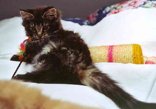 Barthez mit 12 Wochen