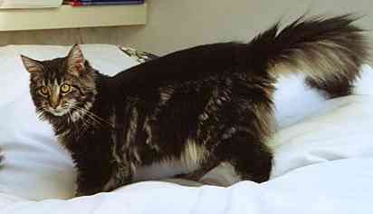 Barthez mit 6 Monaten