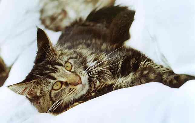 Barthez mit 6 Monaten