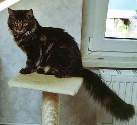 Barthez mit 6 Monaten