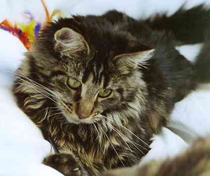 Barthez mit 5 Monaten