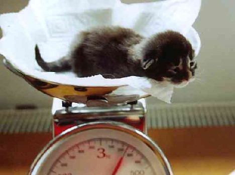 Barthez mit 10 Tagen