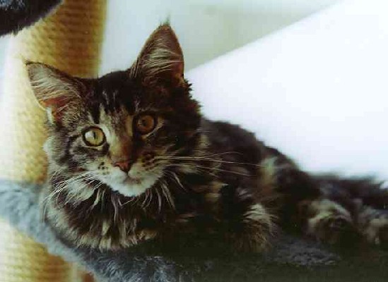 Barthez mit 6 Monaten