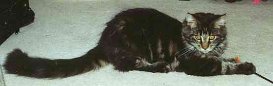 Barthez mit 6 Monaten