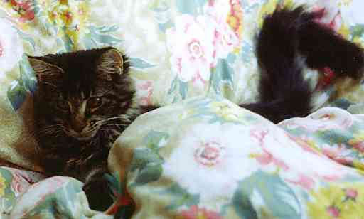 Barthez mit 6 Monaten