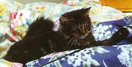 Barthez mit 6 MOnaten