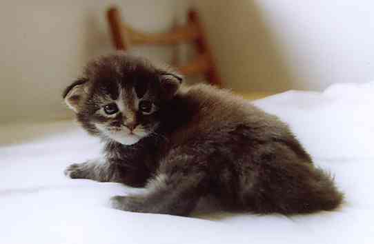 Barthez mit 21 Tagen