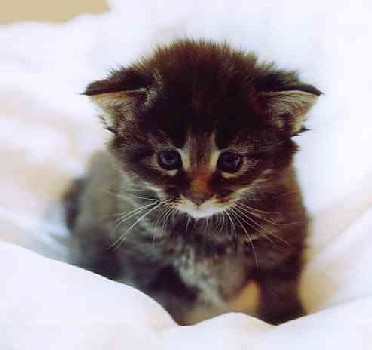 Barthez mit einem Monat