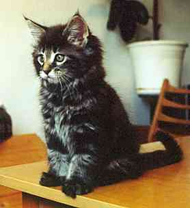 Barthez mit 9 Wochen