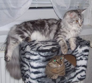 Bella zusammen mit (together with) Peggy