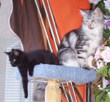 Bella zusammen mit (together with) Steffi