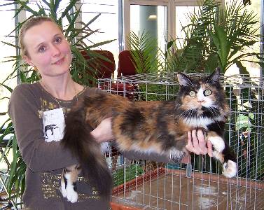 Bonanza mit einem Jahr/ one year old