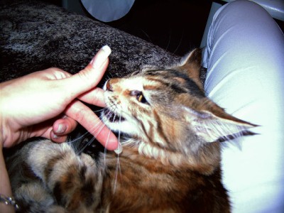 Briana mit fünf Monaten/five months old 