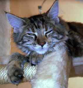 Briana mit fünf Monaten/five months old 