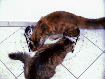 Briana mit fünf Monaten/five months old 