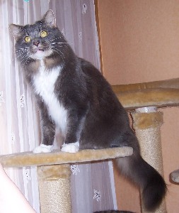 Caesar mit 2,5 Jahren / two and a half years old