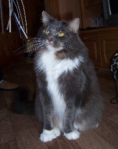 Caesar mit 2,5 Jahren / two and a half years old