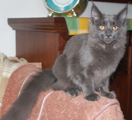 Caroline mit fünf Monaten  / five months old