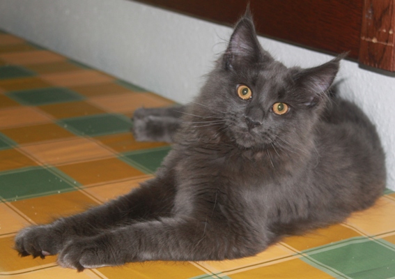 Caroline mit fünf Monaten  / five months old