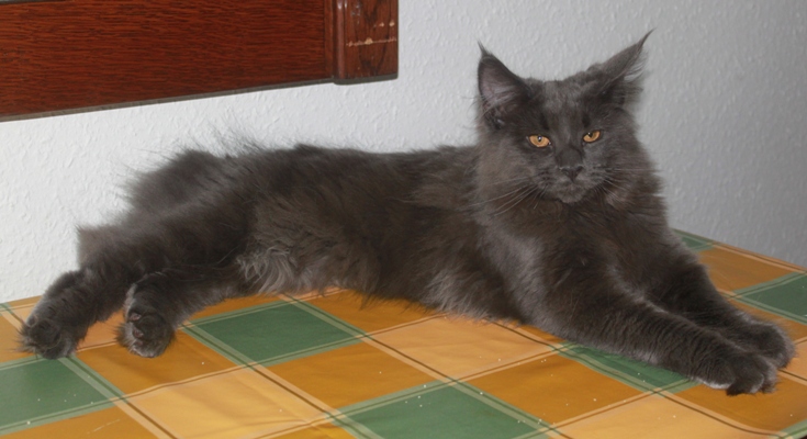 Caroline mit fünf Monaten  / five months old