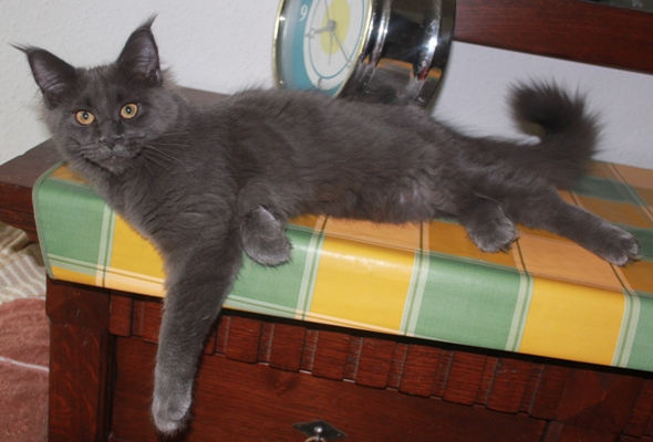 Caroline mit fünf Monaten  / five months old