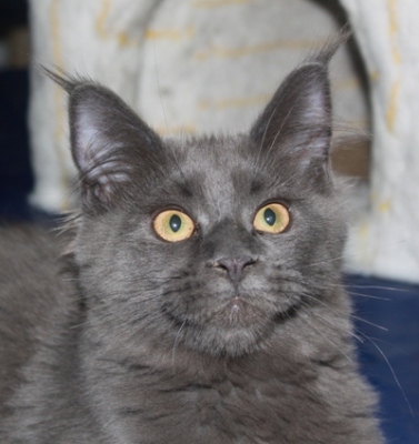 Caroline mit fünf Monaten  / five months old