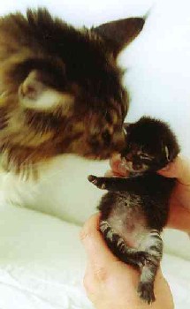 Celine mit neun Tagen/Celine being nine days old