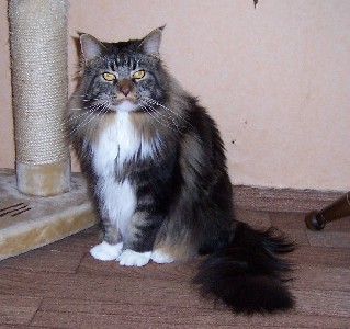 Colonel Mason mit 2,5 Jahren / two and a half years old