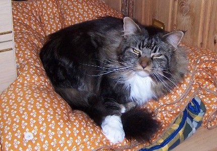 Colonel Mason mit 2,5 Jahren / two and a half years old