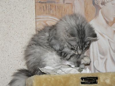 Edwin mit vier Monaten / four months old