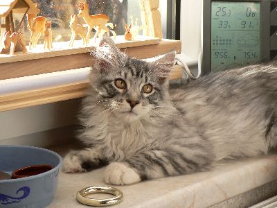 Edwin mit vier Monaten / four months old