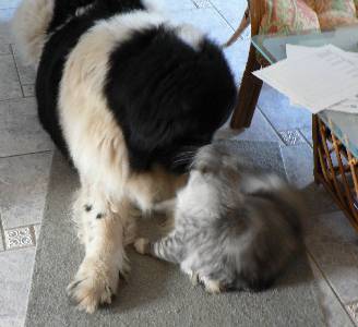 Edwin mit sieben Monaten / seven months old