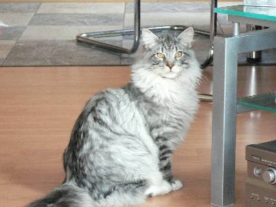 Edwin mit sieben Monaten / seven months old