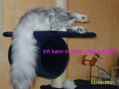 Emilia mit neun Monaten / nine months old