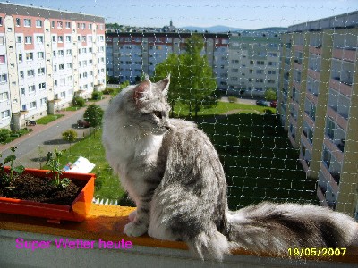 Emilia mit neun Monaten / nine months old