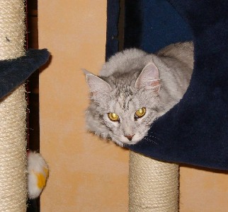 Emilia mit neun Monaten / nine months old