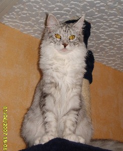 Emilia mit zehn Monaten / ten months old