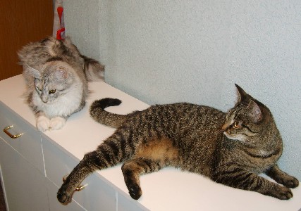 Emilia mit zehn Monaten / ten months old