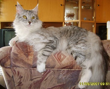 Emilia mit zehn Monaten / ten months old