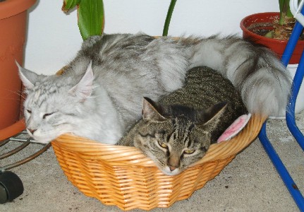 Emilia mit zehn Monaten / ten months old