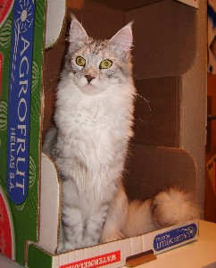 Emilia mit elf Monaten / eleven months old