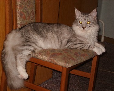 Emilia mit elf Monaten / eleven months old