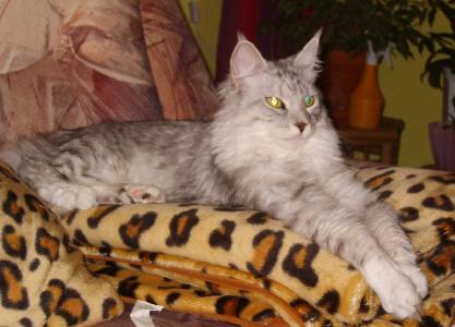 Emilia mit einem Jahr und drei Monaten / one year and three months old