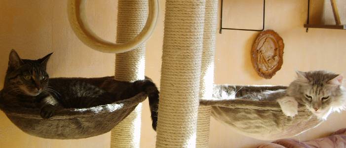 Emilia mit einem Jahr und drei Monaten und Lilly / one year and three months old and Lilly