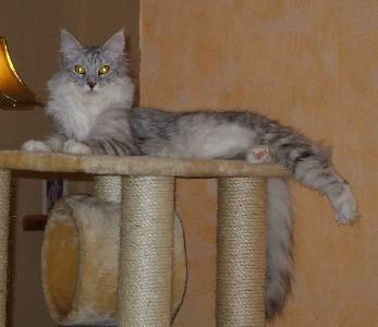 Emilia mit einem Jahr und vier Monaten / one year and four months old