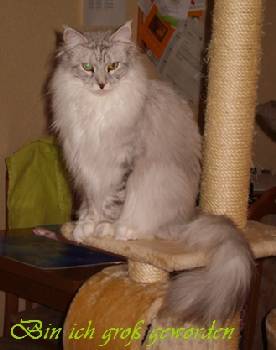Emilia mit einem Jahr und acht Monaten / one year and eight months old