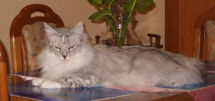 Emilia mit einem Jahr und acht Monaten / one year and eight old
